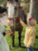 122581178_726717364595506_67937424772109