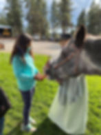 122603999_3980235862003902_7397623205343