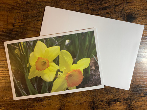 Large Cards | CSM - South