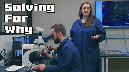 WJE SFW Petrography Thumbnail.jpg