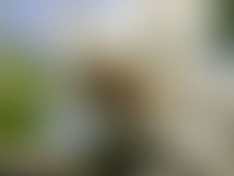 Circles. Newsletter April 2026