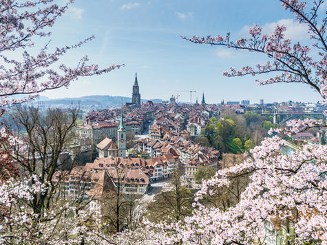 Circles. Newsletter Mai 2025