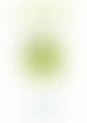 Medaille TOP 100 Weinerzeuger 2025 Weingut Siebenhof Zotzenheim