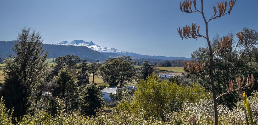 Looking over Two Rivers Ohakune to Mt Ruapehu