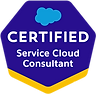 Service CLoud consultant.png