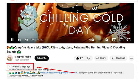 Video SEO