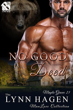 NO GOOD DEED.jpg
