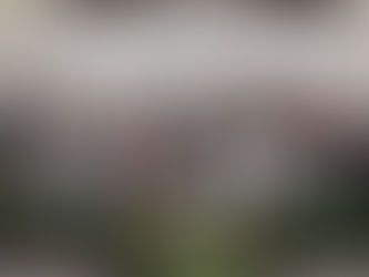 Keterlibatan Akademik STTBI dalam Memperkuat Kesiapan AI Nasional