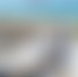 South Walton 30A Wheelchair/ADA Accessible Beaches