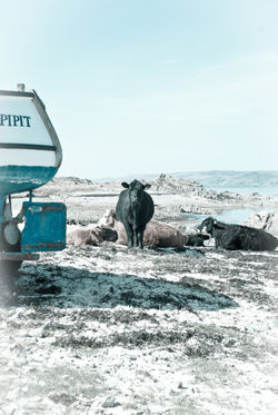 20110426-Edited-2094