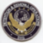 US Detention & Removal Operations Patch
