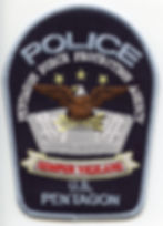US Pentagon Force Protection Agency Patch