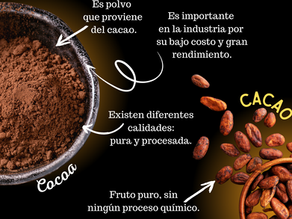 ¿Cuál es la diferencia entre el cacao y cacao? ¡no son lo mismo!
