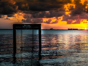 ¡Zama! Experiencia inolvidable en el Caribe Mexicano