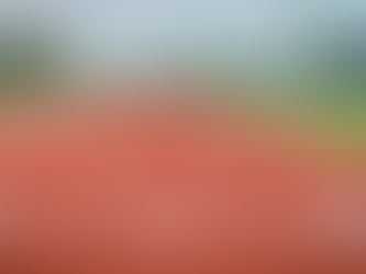 Primary Sports Technology