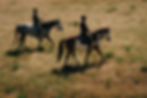 Copy of DSC06235.jpg