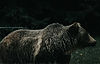 mountain-made-creative-jeremy-vessey-zk7GoKZbBL8-unsplash.jpg