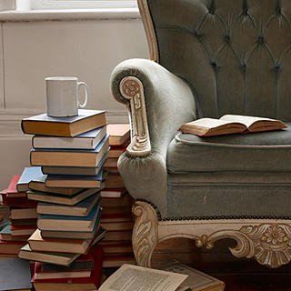 Writer: Book Blogger
