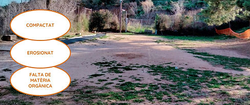 Diapositiva16_edited.jpg