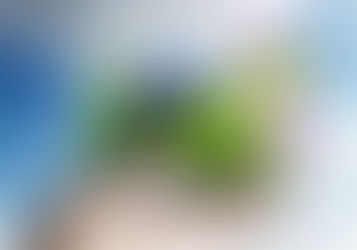 Pechino: il sostegno finanziario alla transizione ecologica al centro del workshop dell’Ambasciata