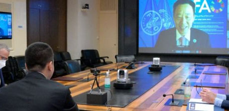 B20, FAO e G20 - Intervento del Ministro Luigi Di Maio al Dialogo sui Sistemi Alimentari Sostenibili