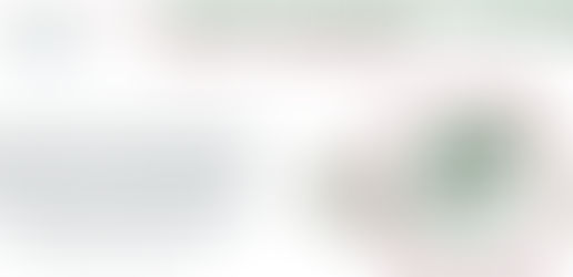 Focus sulle imprese italiane nel mercato Usa