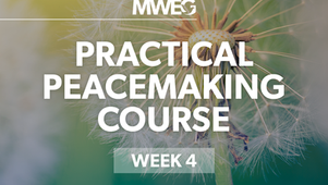 Practical Peacemaking Week 4: Working Cooperatively to Transform Conflict into Peace (Intro to Mediation)