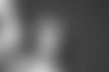 Mormon Women for Ethical Government's Immigration Priorities Statement