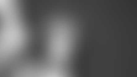 Mormon Women for Ethical Government's Immigration Priorities Statement