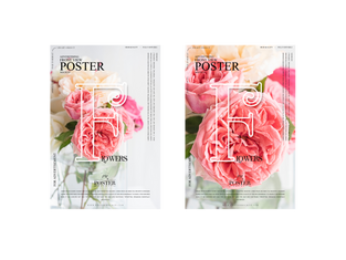 flyers n posters (2).png