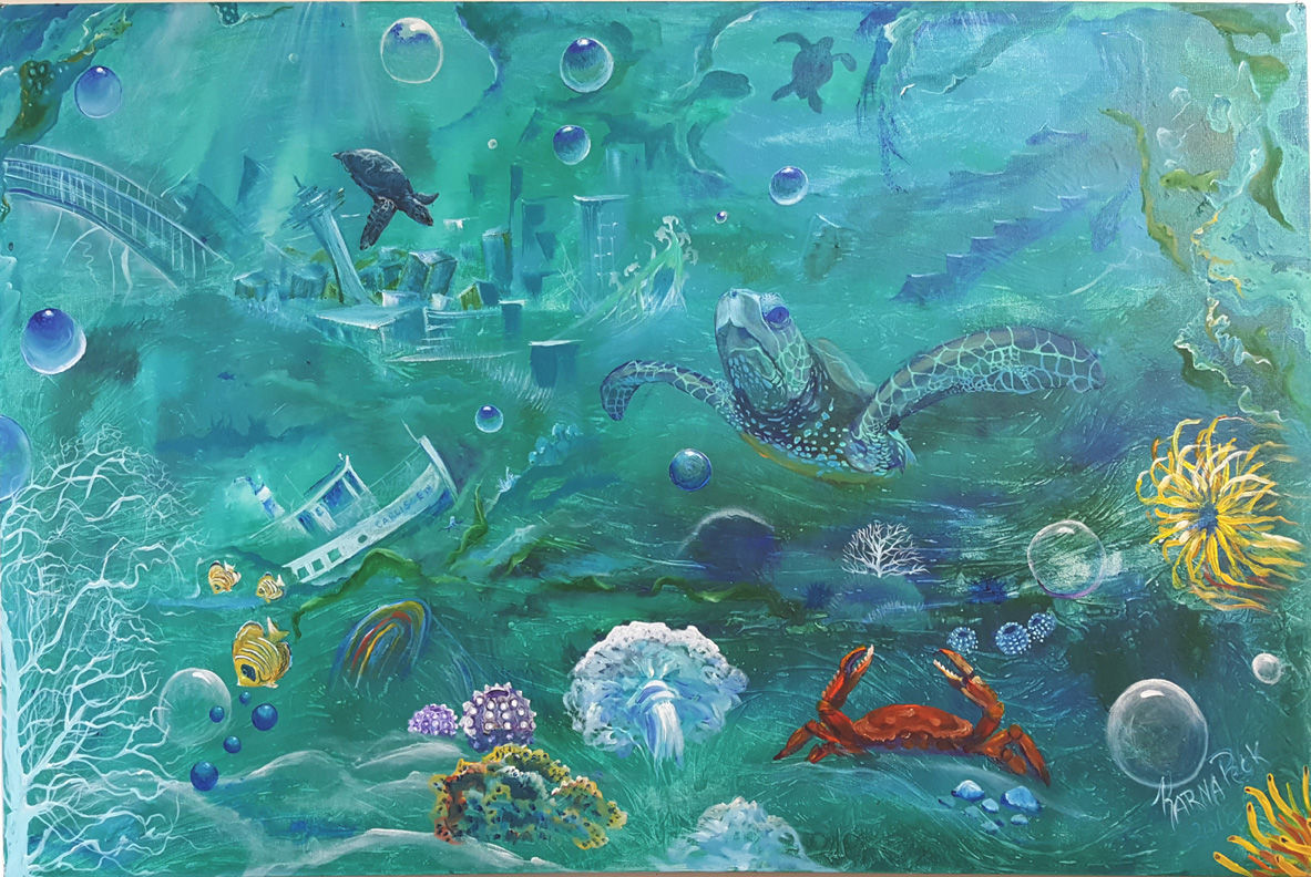 Sea Turtle and Seattle