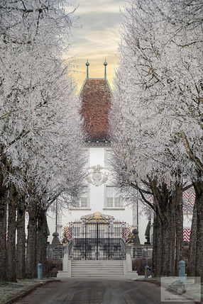 Schloss Waldegg bei Solothurn SO