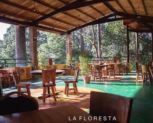 WhatsApp Image 2025-06-29 at 2.24_edited.jpg