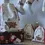Thumbnail: Personalised 1st Christmas Sack Cute Bear Design