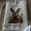 Thumbnail: Hare Rabbit Personalised Quality Cooking Apron Gift Set