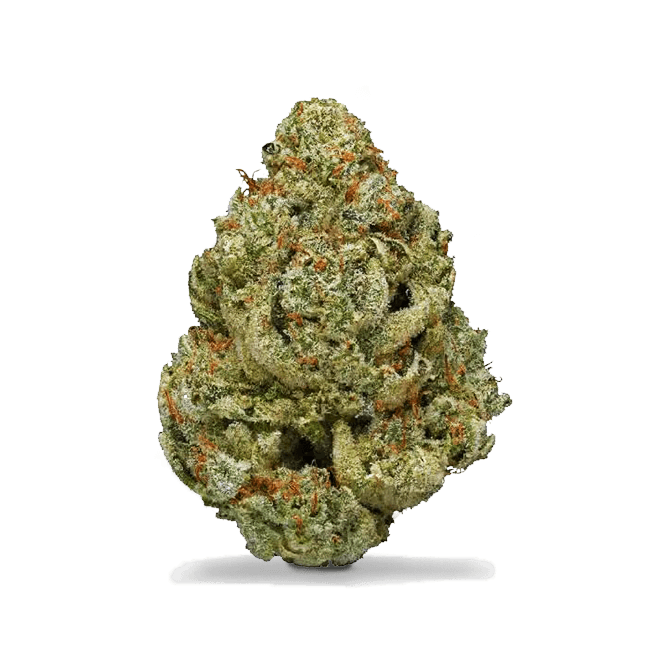 fleur CBD Malabar Indoor