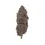 Thumbnail: bud western cherry bzh organique