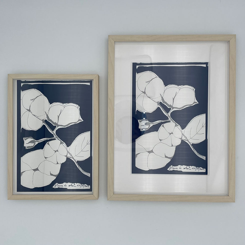 Miniature : Fleurs de coton