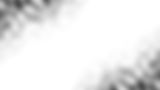 img41_edited.jpg