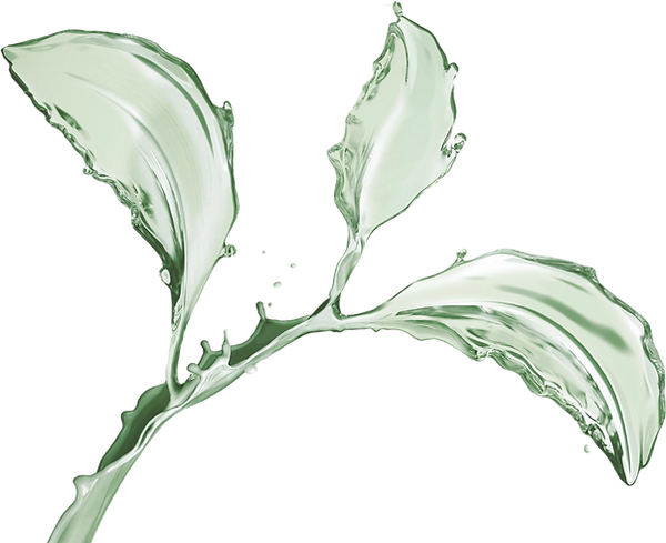 SplashWater.png