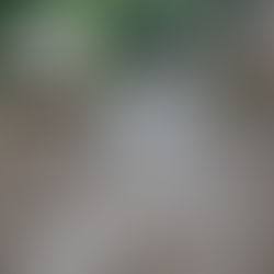 सफाई और जलनिकासी की नही है व्यस्था!... गंदे पानी और कीचड़युक्त रास्ते से ग्रामीण आने जाने को है मजबूर