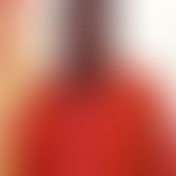 वरिष्ठ भाजपा नेता!...धीरेन्द्र सिंह के निधन पर क्षेत्र में शोक की लहर,राजनीतिक और सामाजिक जगत में अपूरणीय क्षति