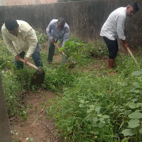 समाजसेवी पिंटू यादव की सराहनीय पहल!...बभनौली कला में नाग पंचमी पर!...साफ-सफाई और दंगल का आयोजन