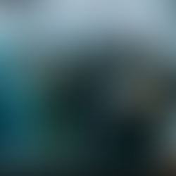 साहित्य चेतना समाज के तत्वाधान में!....न्यू होराइजन एकेडमी तुलसीसागर के सभागार में विचार-अभिव्यक्ति