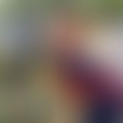 सेवा पखवाड़ा कार्यक्रम के तहत!...सांसद डॉ• संगीता बलवंत ने लगाये 25 पौधे,दिया पर्यावरण संरक्षण का संदेश