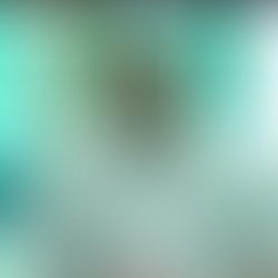 ⭕सहेड़ी में घटिया सामग्री से बच्चों के लिए बनाया जा रहा मल्टी पर्पज स्मार्ट मीटिंग हॉल!..मुख्य विकास अधिकारी ने लिया संज्ञान,होगी गुणवत्ता की जांच ।