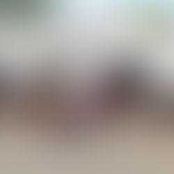 महिला समेत तीन वांछित अभियुक्त को पुलिस ने भेजा जेल