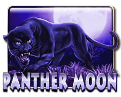 panther moon slot game