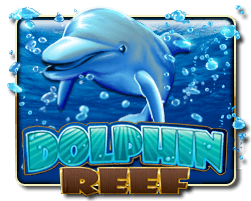 dolphin reef slot game