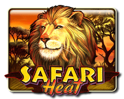 safari heat slot game